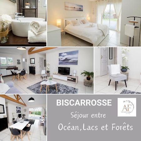 Ravissante Maison Cosy 4* Biscarrosse Proche Lac 외부 사진